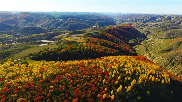 再造子午岭,再造一个子午岭有效吗