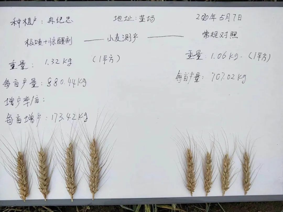 氮钾复合肥缓释肥,叶面喷雾缓释复合肥