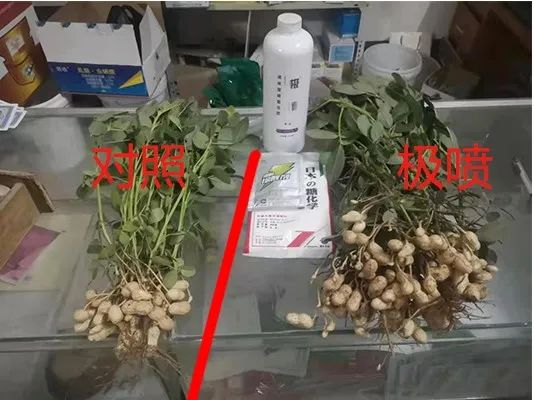 氮钾复合肥缓释肥,叶面喷雾缓释复合肥