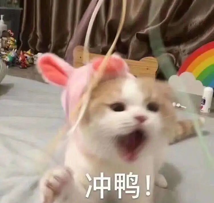 闭嘴吧,别再说国货不好用了