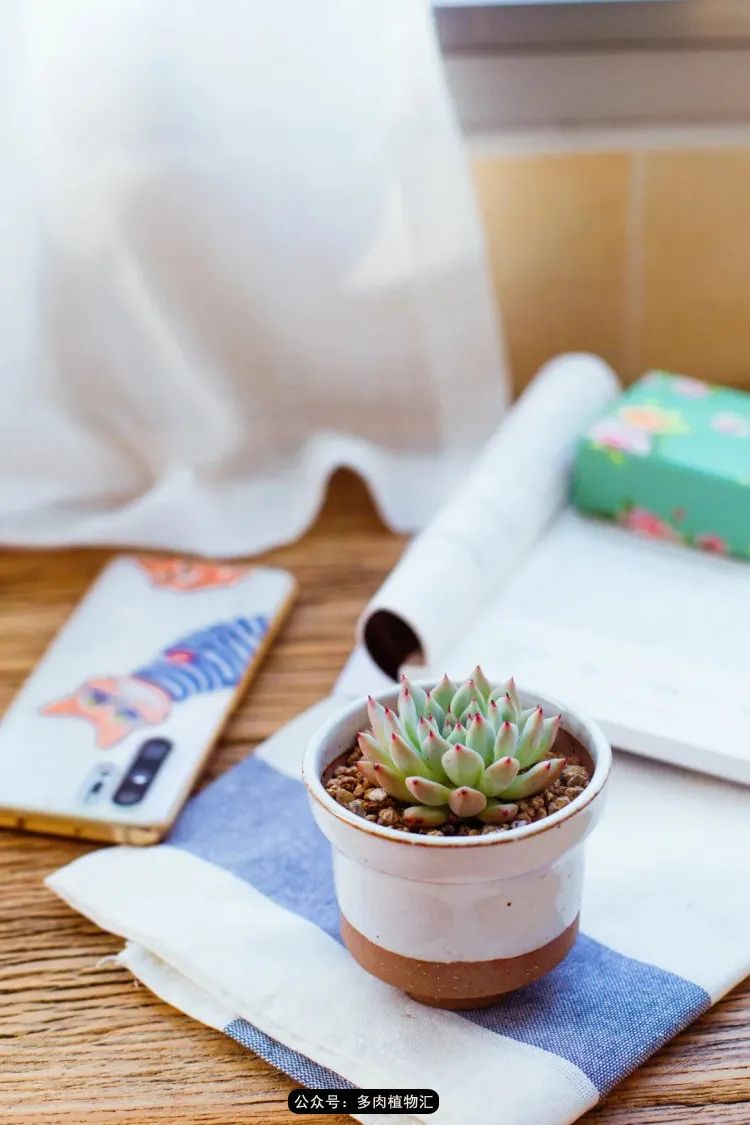 专注于自己喜欢的事情,专注于自己喜爱的事情