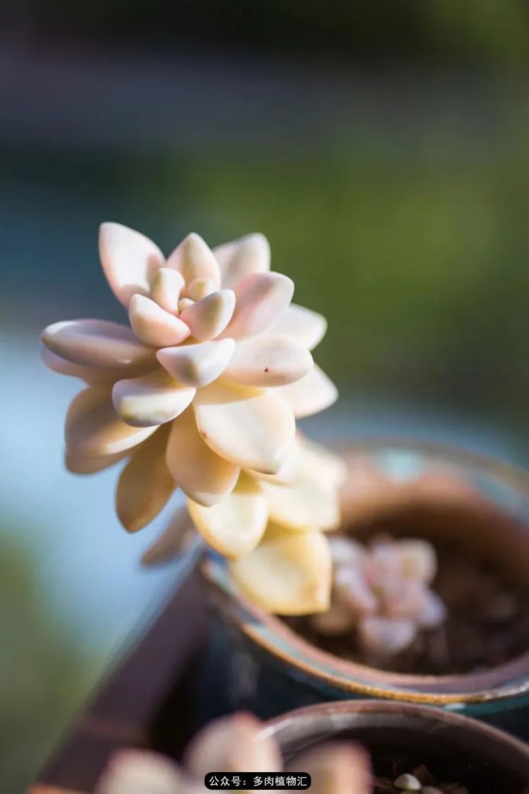 专注于自己喜欢的事情,专注于自己喜爱的事情