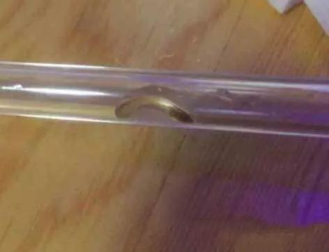 活石掉的粉末有害吗,活石里面虫子会寄生小鱼吗