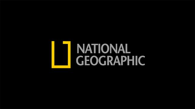 logo设计公司的核心技术是什么,商标设计logo的最佳搭配