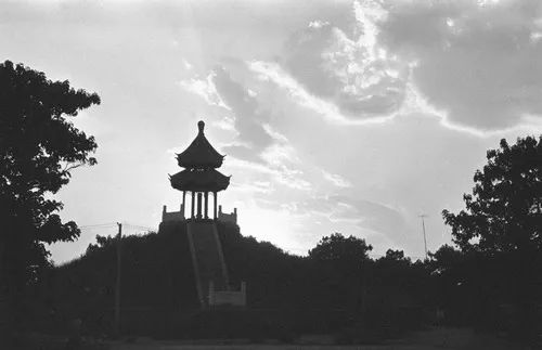 三番五次离家出走,三次离家出走的男孩