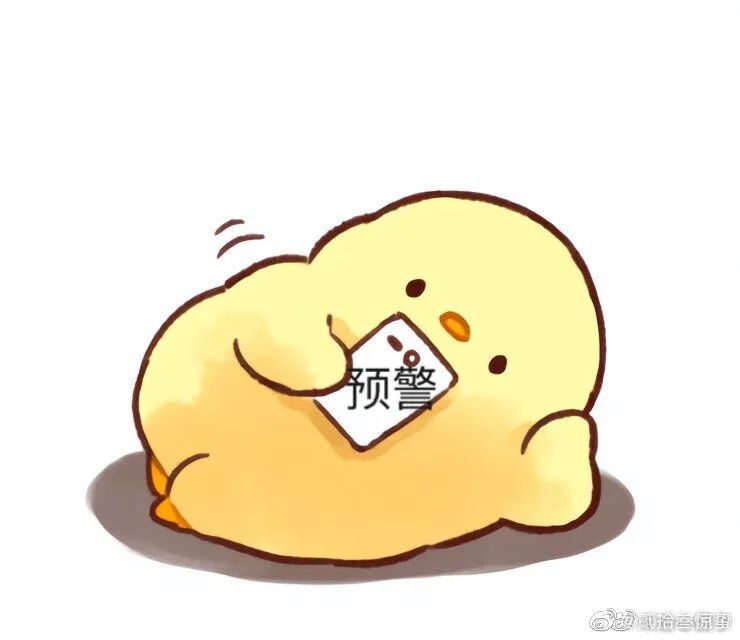 官宣的新消息,官宣时间确定了吗