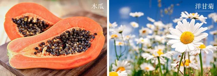 用手搓脸搓出泥把脸搓掉皮,用它搓一搓皮肤嫩滑透亮不显老