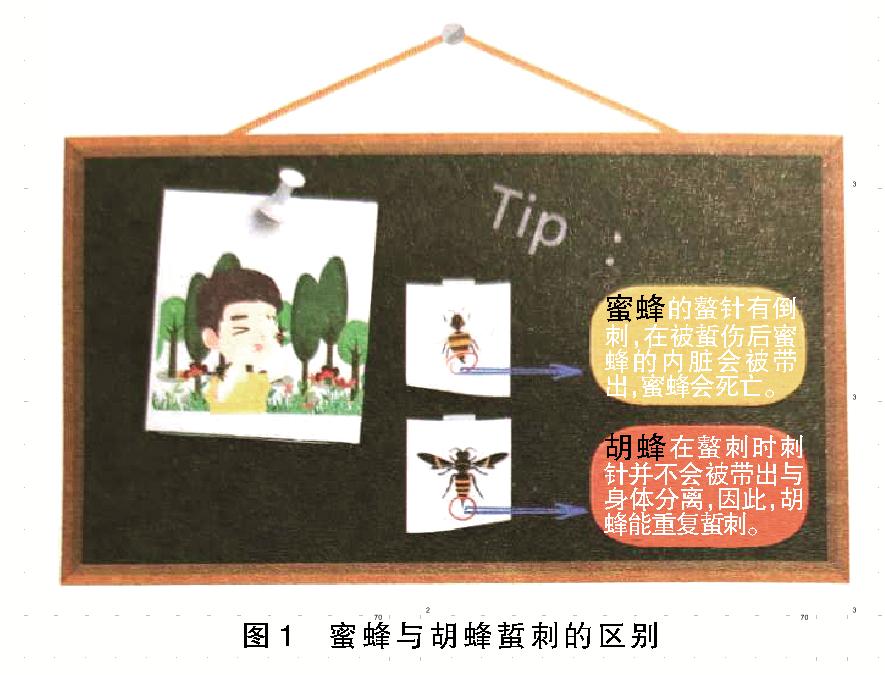 昆虫过敏怎么处理,昆虫叮咬过敏反应怎么治疗