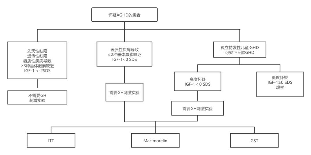 生长激素权威解读,生长激素临床应用指南
