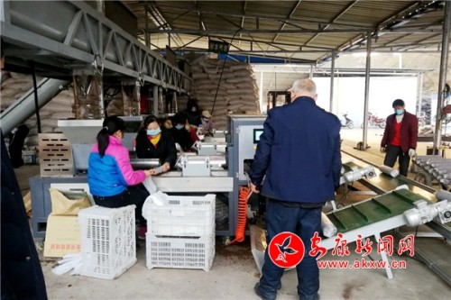 旬阳农商银行助农脱贫,农商银行精准扶贫工作