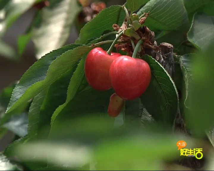 近郊亲子农场有哪些地方,亲子休闲农场