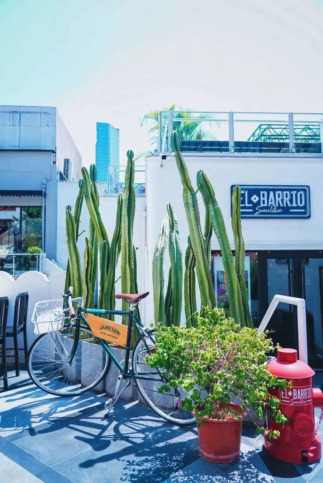 地道的墨西哥菜,最正宗的墨西哥菜