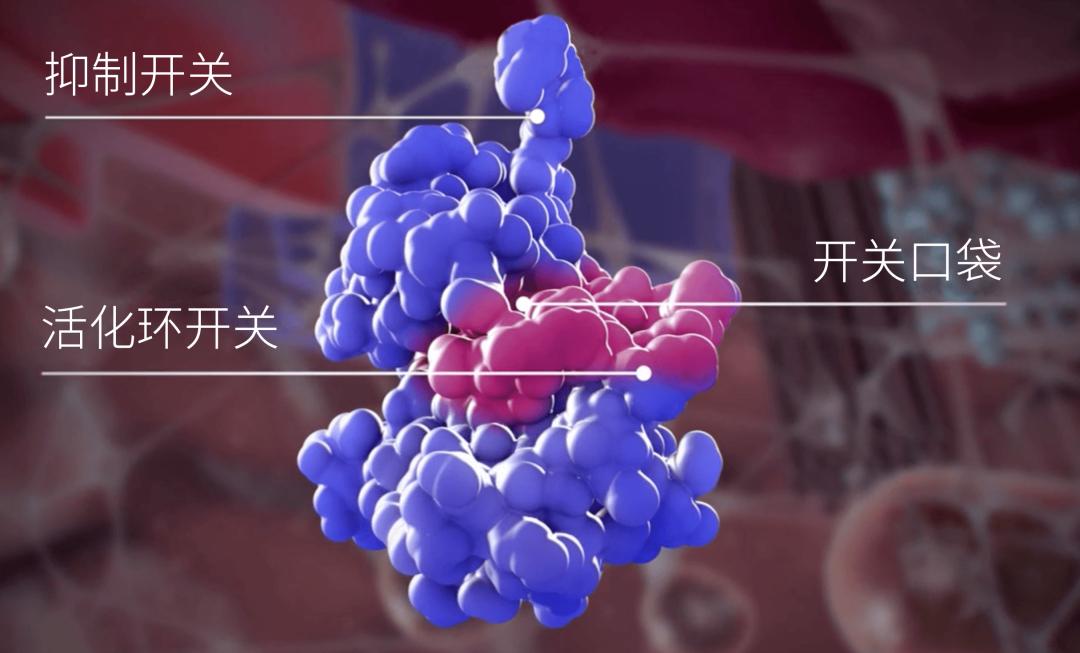 卡死癌细胞的发动机！全球首个广谱KIT*制剂抑**获得FDA批准上市，它杀死癌细胞的方式很特别丨奇点深度