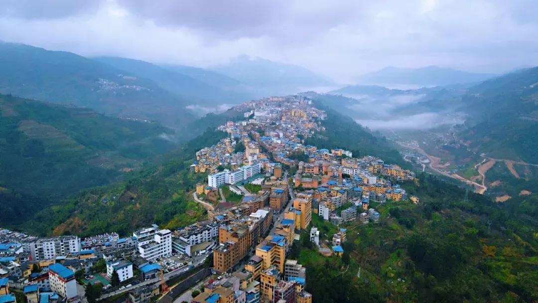 仙霞街道生活日记——长宁副区长直播带货!免洗手抑菌凝胶等商品低至1元