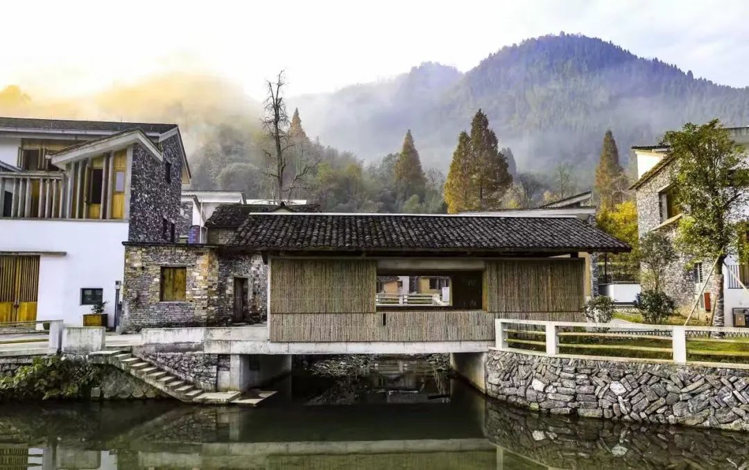 周末去哪儿⑫|王牌推荐，出行不愁！富阳山乡鲜得太“上头”啦！