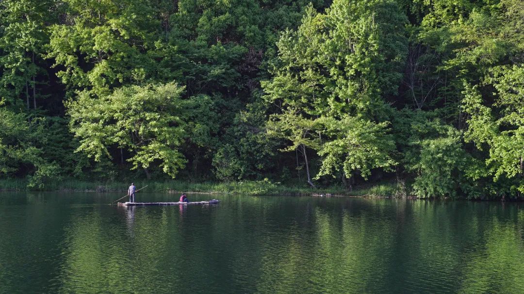 周末去哪儿⑫|王牌推荐，出行不愁！富阳山乡鲜得太“上头”啦！