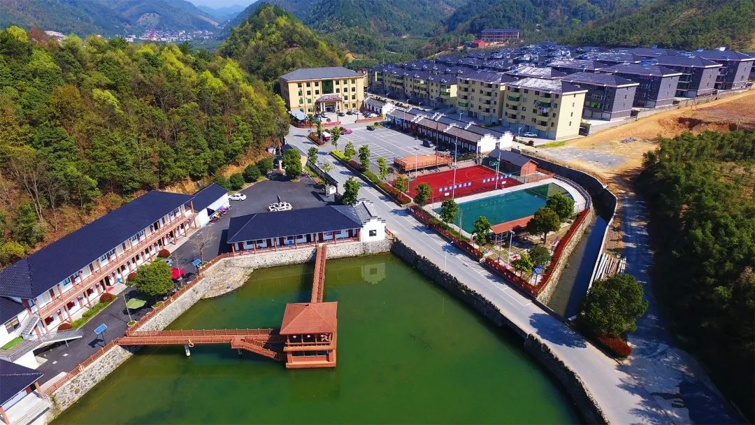 周末去哪儿⑫|王牌推荐，出行不愁！富阳山乡鲜得太“上头”啦！