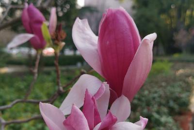 宣威田坝：“清垃圾”专项行动掀起爱国卫生运动热潮