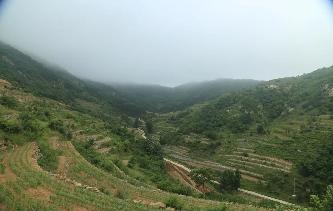 文旅日照市,莒县文旅旅游攻略