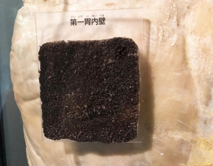 最好吃的牛肚是哪个,牛肚跟原味牛肚的区别