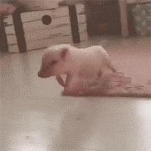 你用成语装×的样子,真是太爹味了|原创