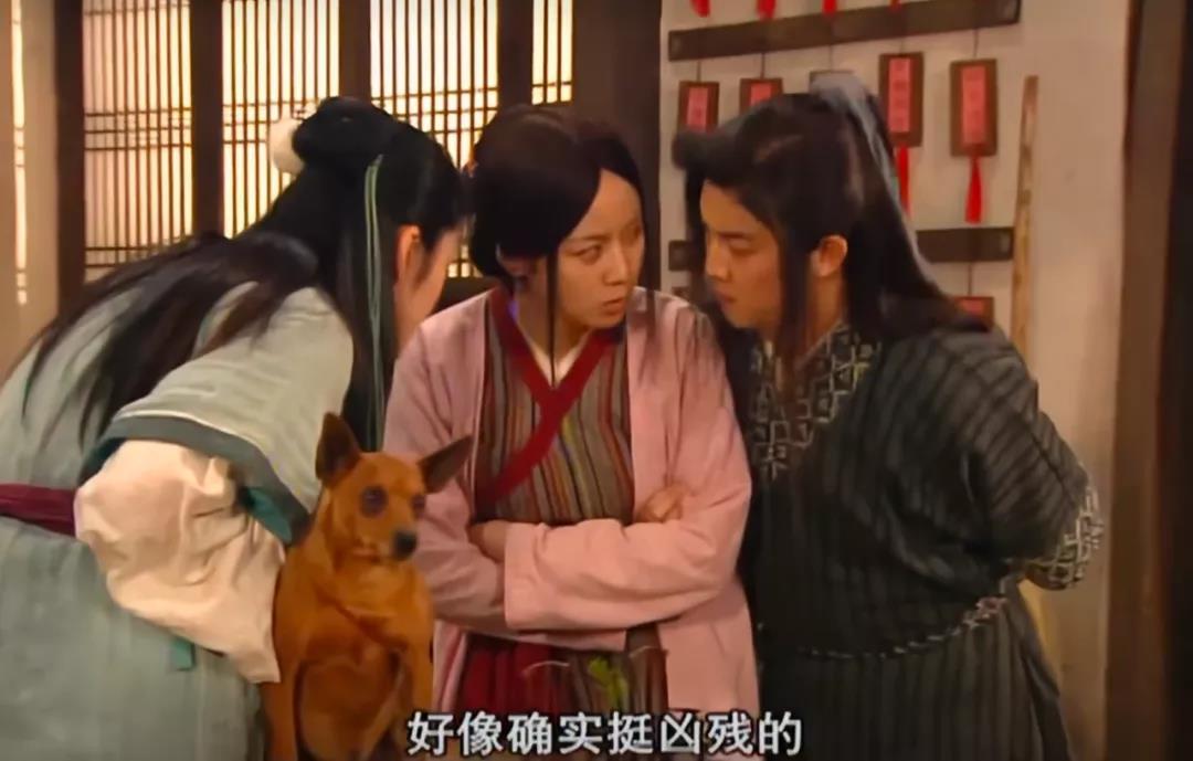 你用成语装×的样子,真是太爹味了|原创