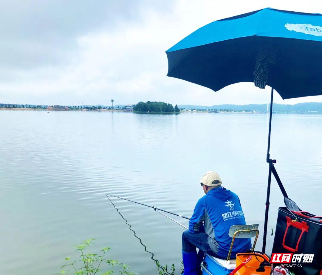 望江钓鱼比赛,望江亭钓鱼大赛