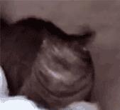 苹果谷歌被指歧视黑人，看完原因我呆了