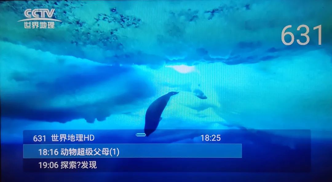 好消息传来,好消息不断涌来