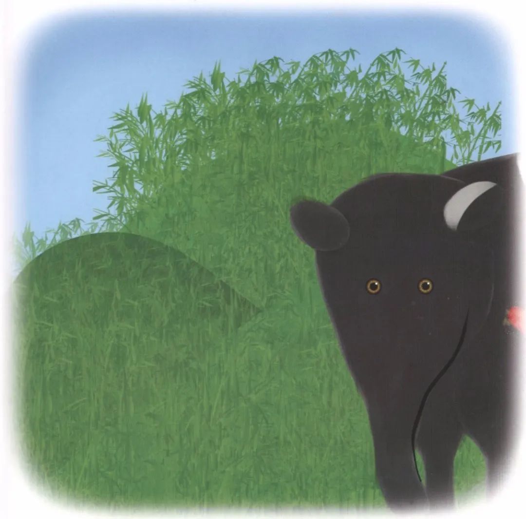 邕小环讲生态故事｜竹子的馈赠：土种树，木养土。竹子的功劳，你知不知道？