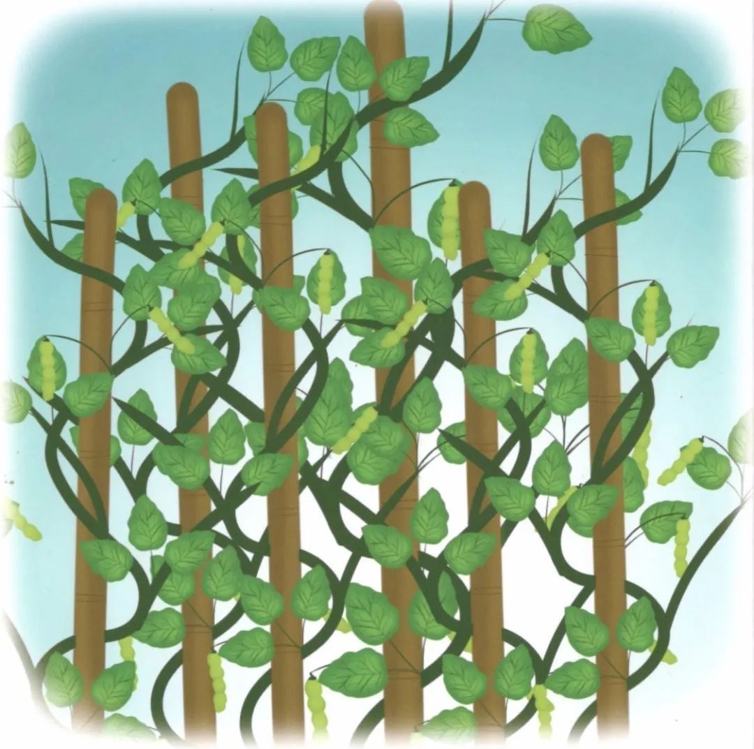 邕小环讲生态故事｜竹子的馈赠：土种树，木养土。竹子的功劳，你知不知道？