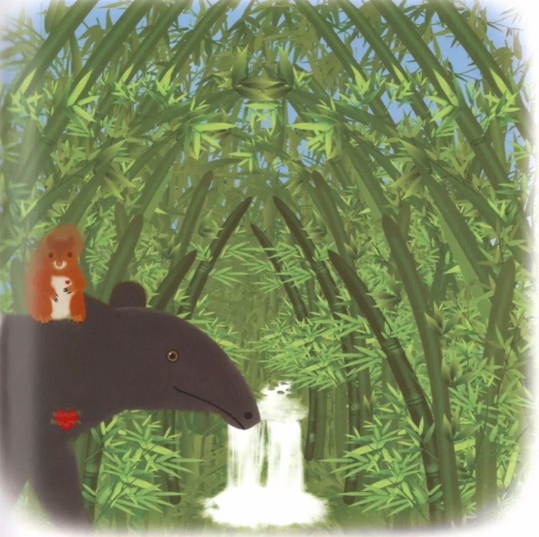 邕小环讲生态故事｜竹子的馈赠：土种树，木养土。竹子的功劳，你知不知道？