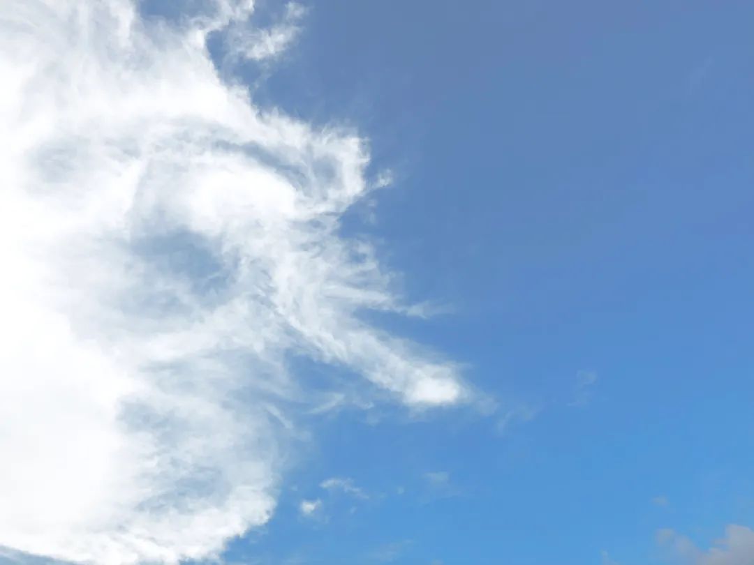 刷屏了！这样的开福蓝，请给我来一打