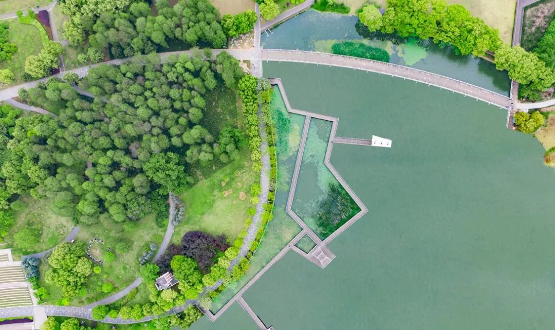 湖北最美环湖绿道徒步,十大最美绿道骑行