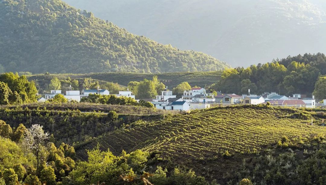 湖北最美环湖绿道徒步,十大最美绿道骑行