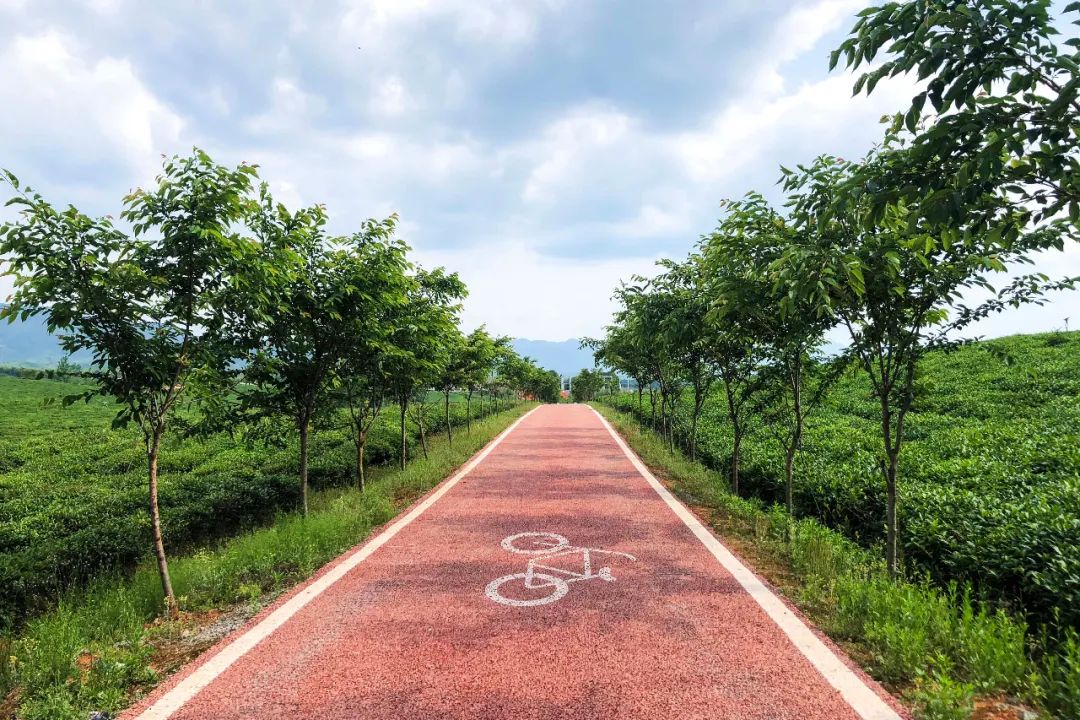 湖北最美环湖绿道徒步,十大最美绿道骑行