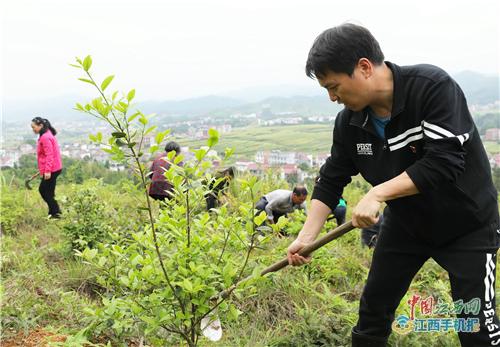 萍乡市莲花县南岭乡圳头村,江西省萍乡市莲花县南岭乡圳头村