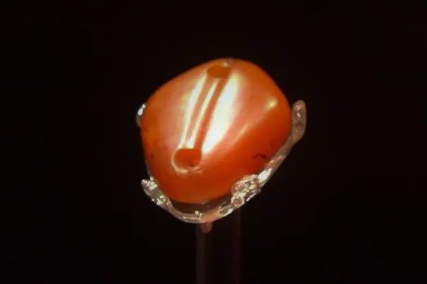 老料天然绿檀木手串,老檀木手串1.0