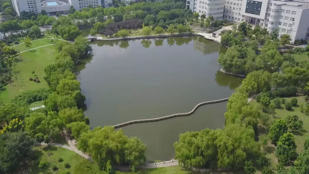 南航的精神,有一种优秀叫努力