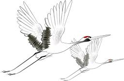 蒙古族的特色服饰图片,蒙古草原风情服饰