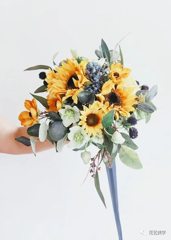 节日丨父亲节，除了向日葵还能送啥花