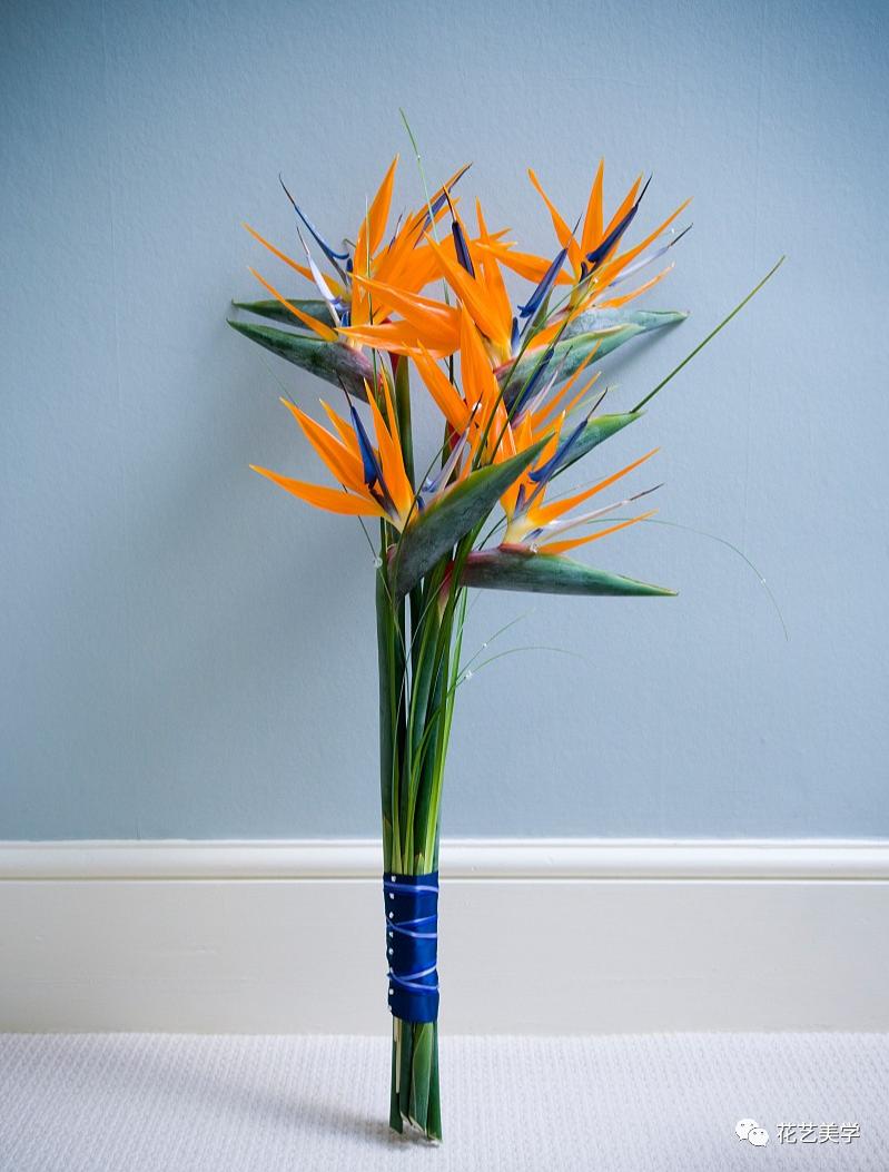 节日丨父亲节，除了向日葵还能送啥花