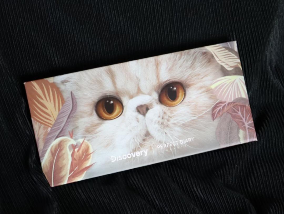 成熟系淡颜妆容御姐妆,清冷厌世风妆容