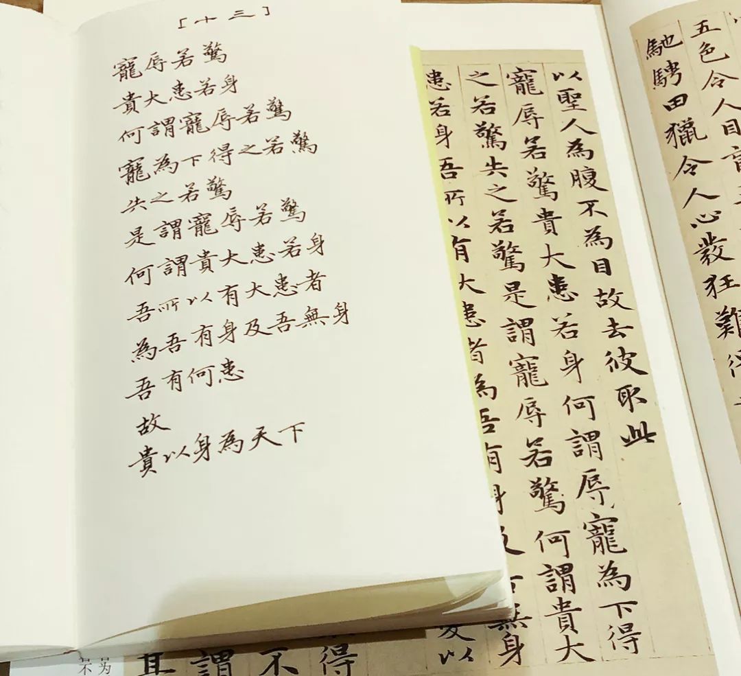 她在娱乐圈里风生水起,她在娱乐圈一股清流