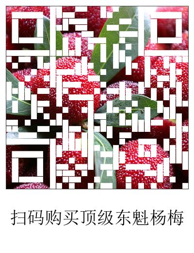 浙江人一日三餐杨梅,杨梅去哪里吃好吃