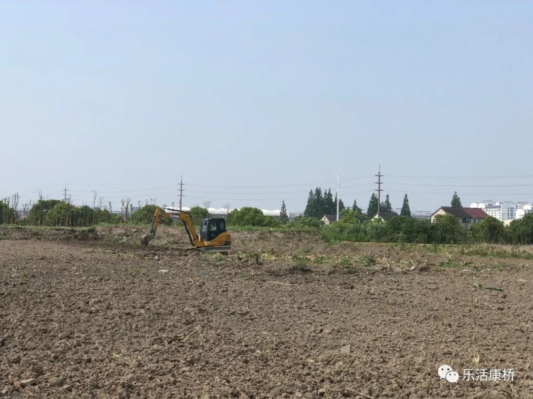 康桥镇学生日记,康桥日记内容