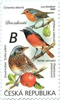 澶栭偖閭エ,骞茬偢涓稿瓙閭瘎