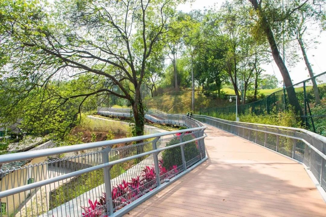 广州适合爬山的地方推荐,广州徒步爬山推荐