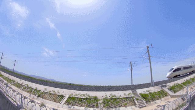 世界那么大我该怎么办,世界那么大我该何去何从图片