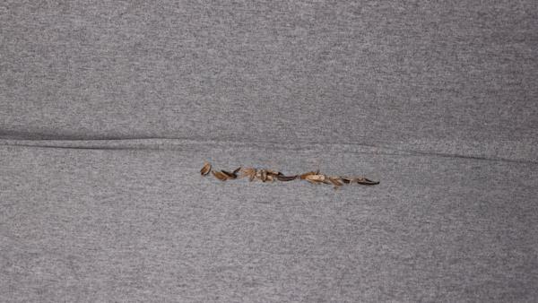 莱克魔洁m12max立式无线吸尘器,莱克魔洁m12max